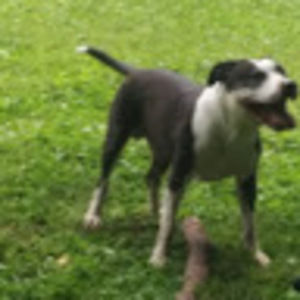 Meet your Posher, Marie